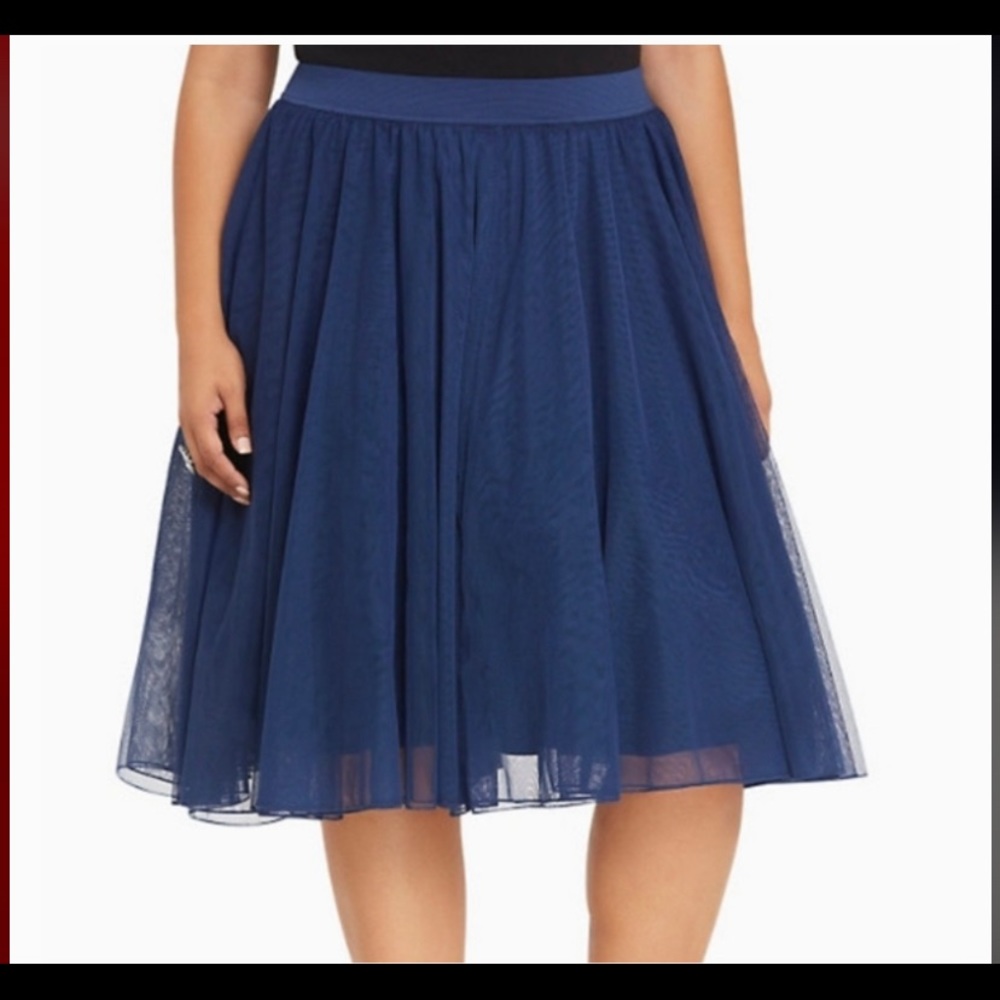 Torrid Tulle skirt.